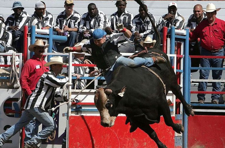 Angola Prison Rodeo Starts this Week in Louisiana