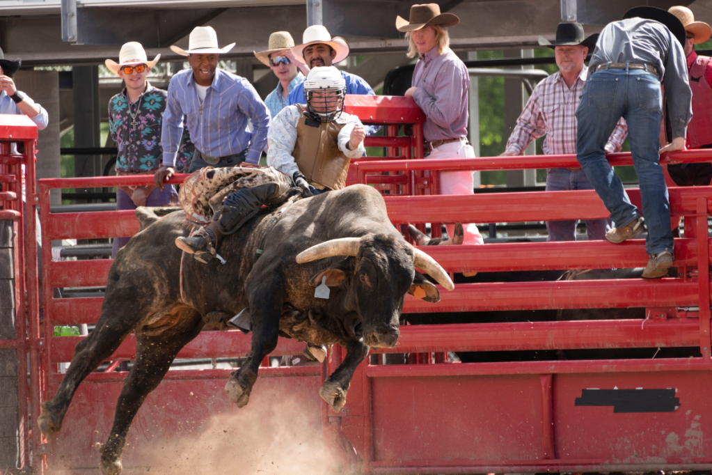 Rodeos in Texas 10 Small Town Events You Should Experience