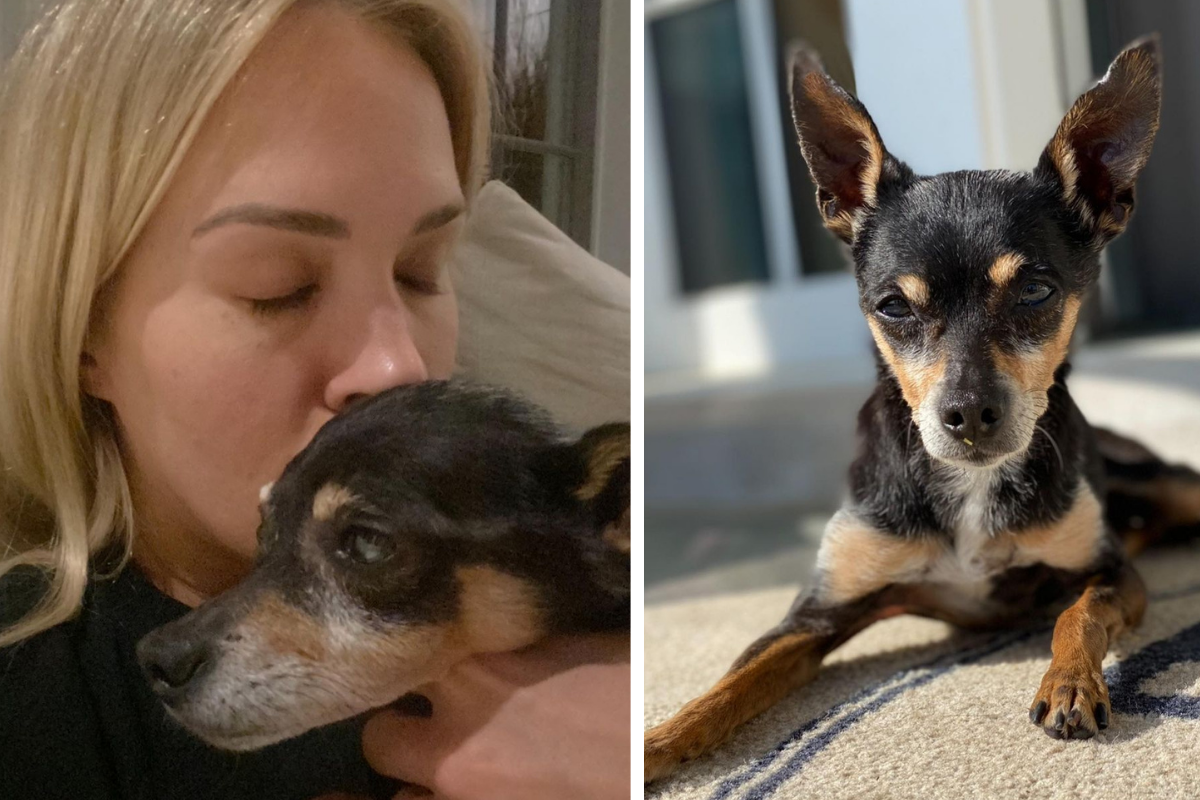 Carrie Underwood Mourns Death of Her Dog Ace: 'A Good Boy Till the End'