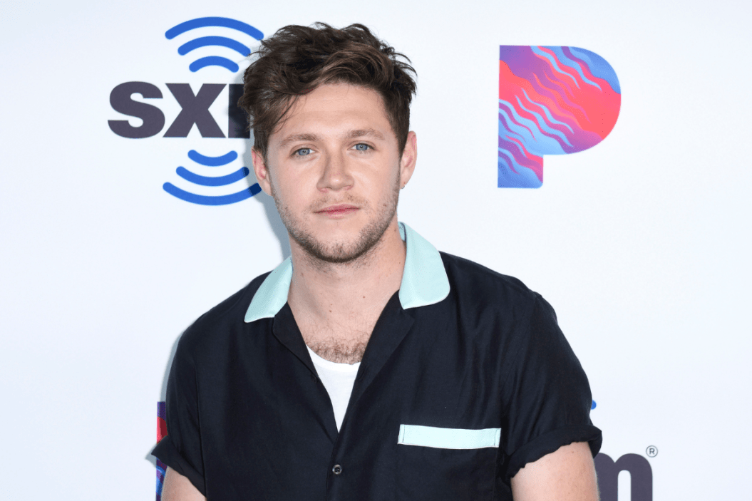 Niall Horan Everything to Know About 'The Voice' Coach