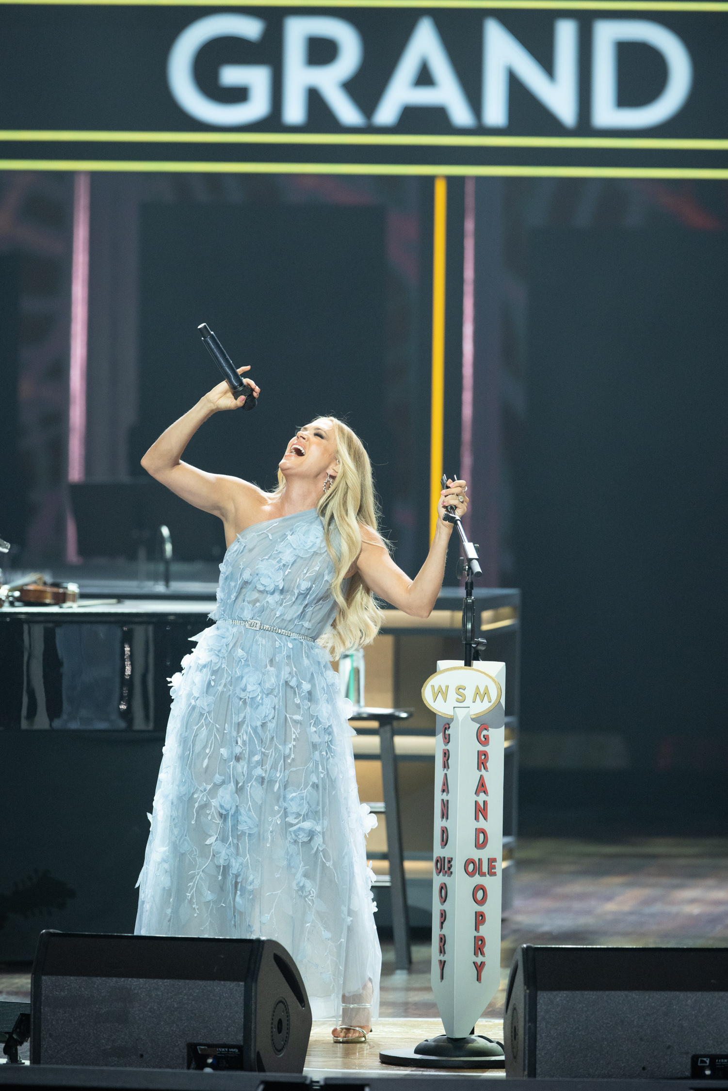 Carrie Underwood Stuns On The Opry Stage In Gorgeous Gown