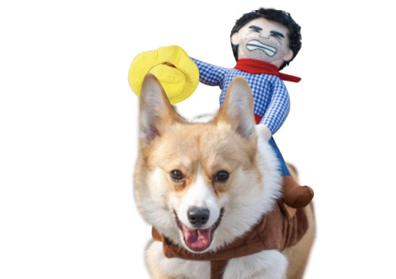 Chewy Halloween is here! Spooky pet costumes and toys to delight your furry  family