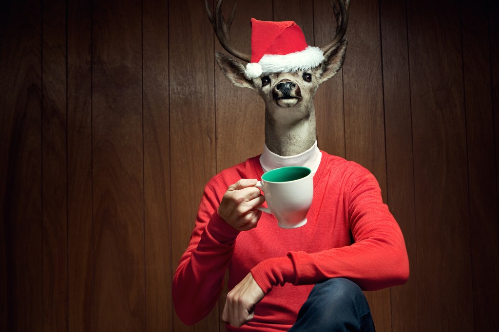 60 Christmas Jokes That Are HoHoHolarious