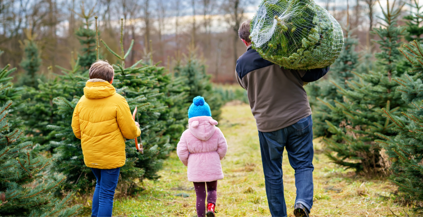 Southern Bottle Trees: A Unique Southern Tradition with Ancient Origins