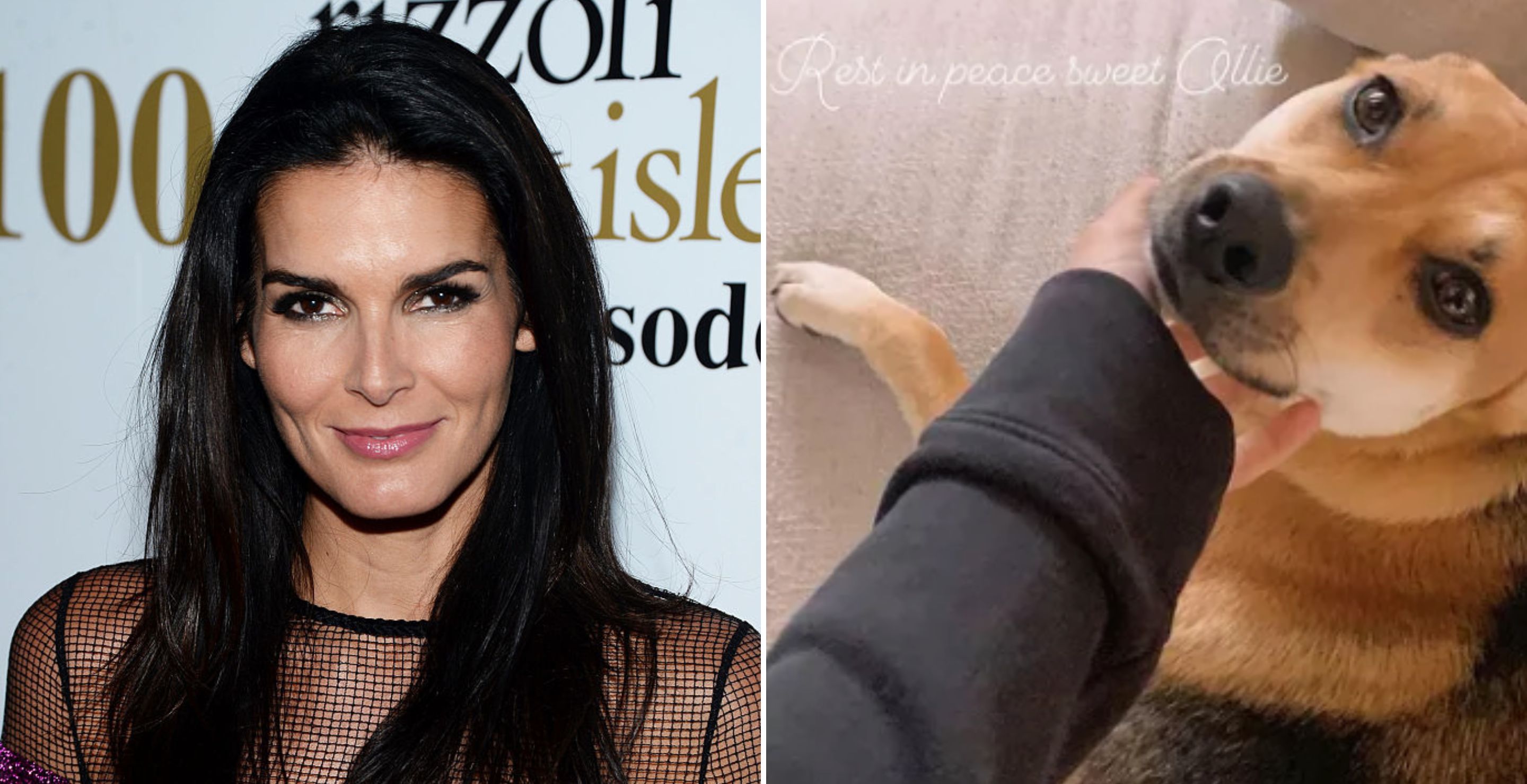 Angie Harmon Expresses Great Sorrow Over An Instacart Driver Shooting And Killing Her Dog