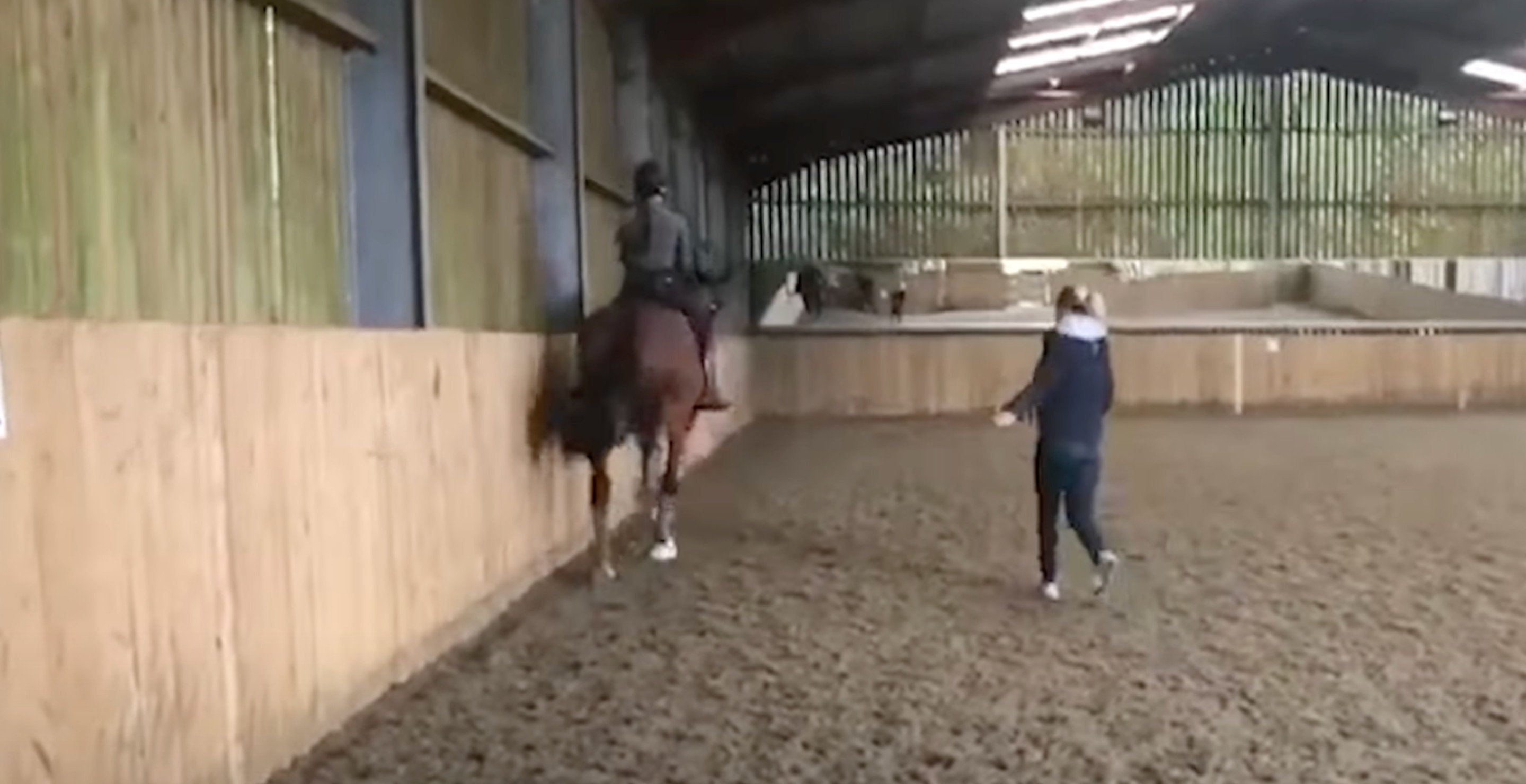 Shocking Video Of Horse Abuse Forces Gold Medalist Out Of Paris Olympics