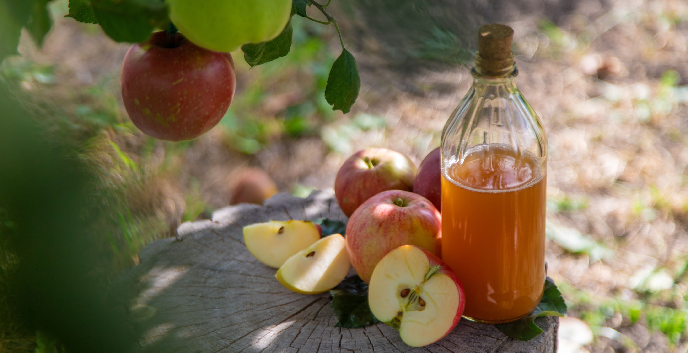 Apple Juice Recalled Over Concerns About Arsenic Levels