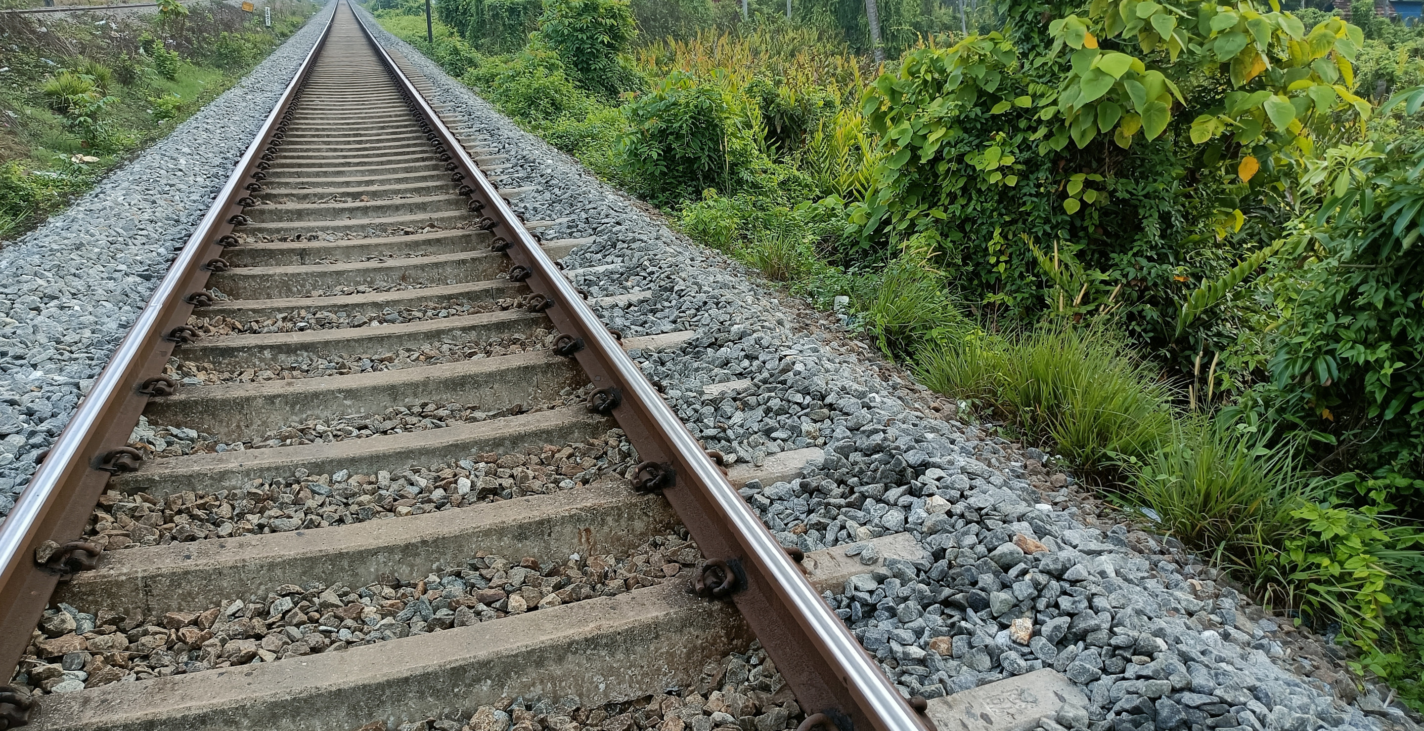 Man Falls Asleep On Railroad Tracks, Survives Getting Runover By Train