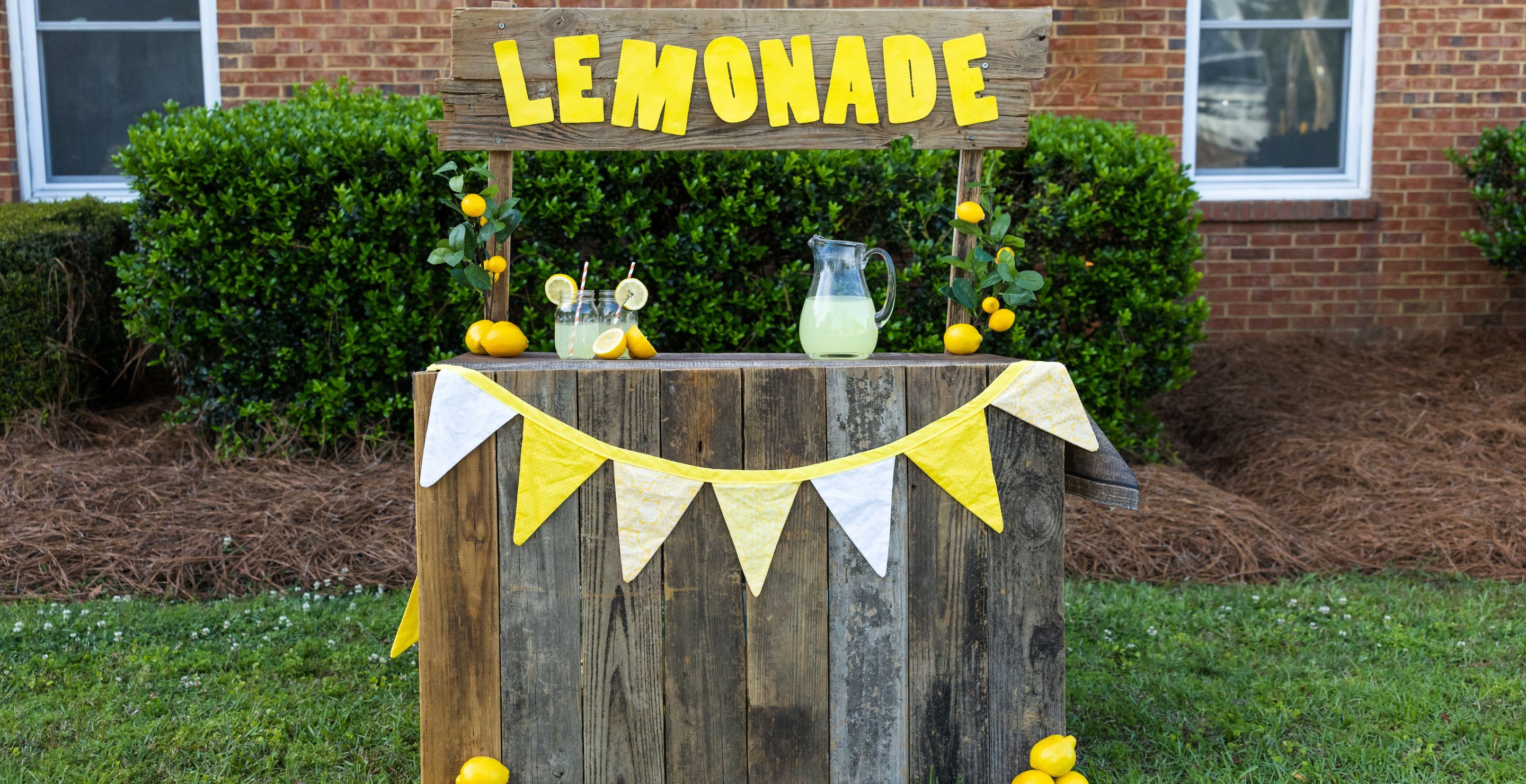 Man Steals Money From Child's Lemonade Stand In Heartless Video