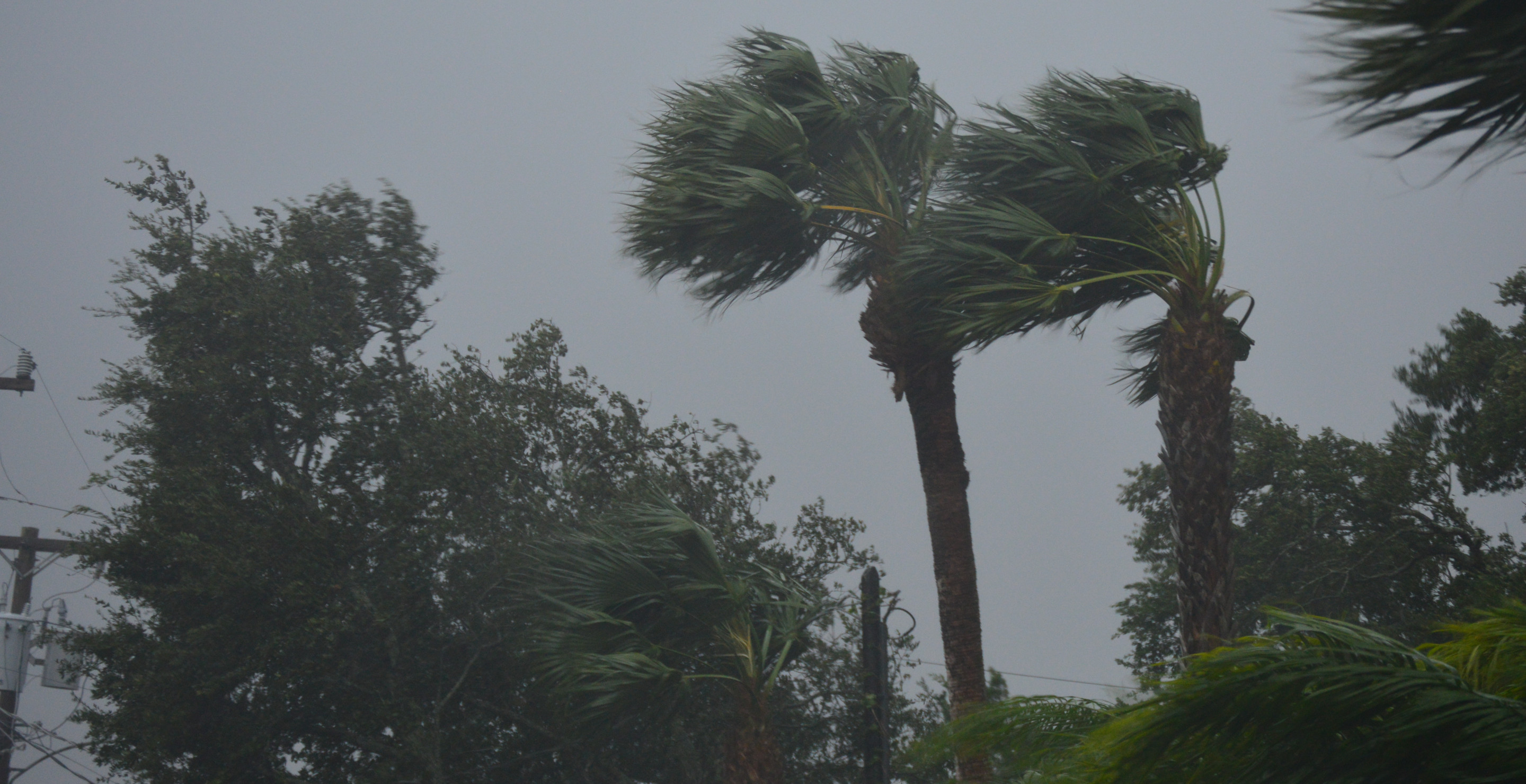 Florida Authorities Have Grim Request For Residents Refusing To Evacuate From Hurricane Helene