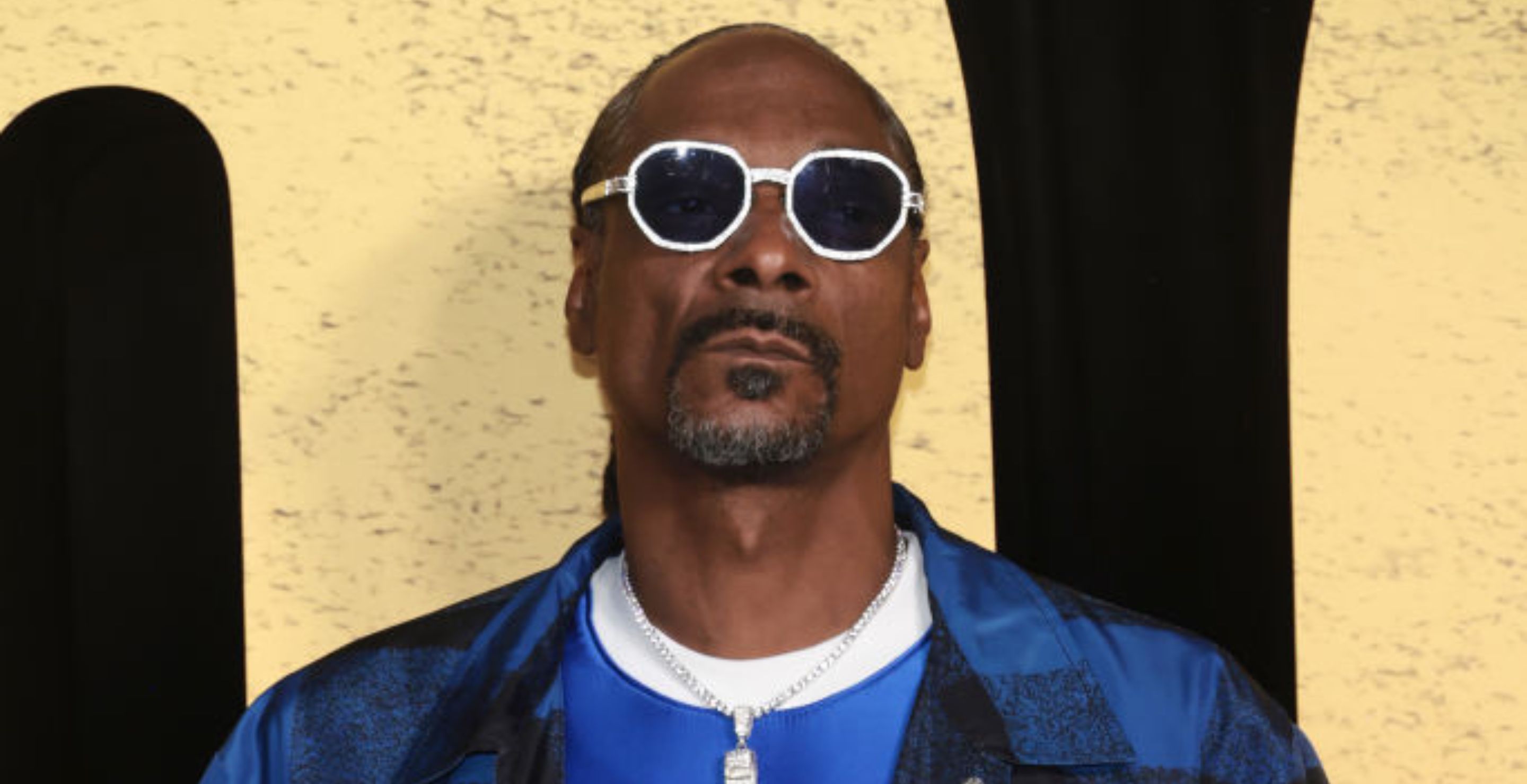 Snoop Dogg Says Other 'The Voice' Coaches Are Blowing Smoke At