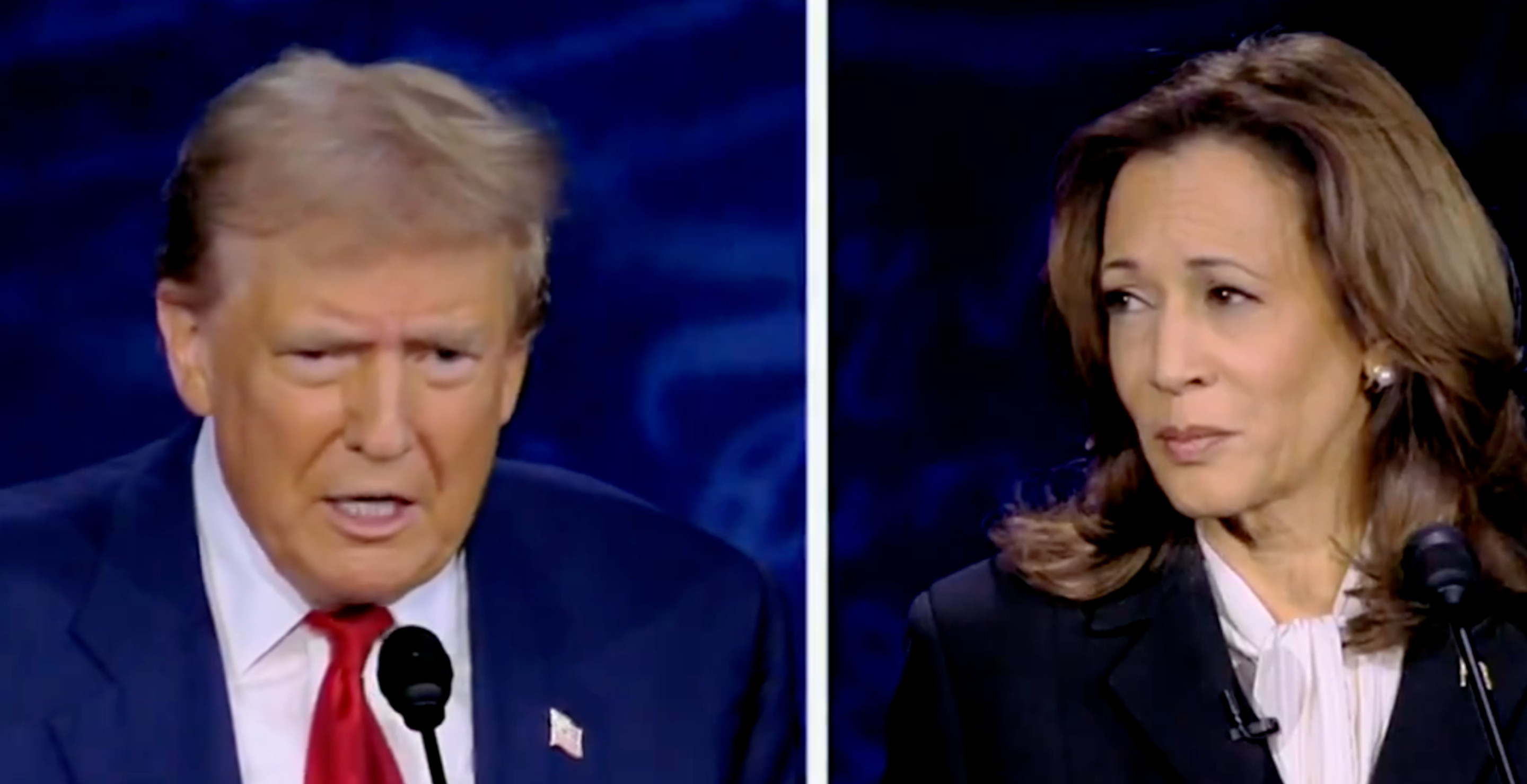 Trump Kamala Debate Viewers React To Donald Trump Claiming Immigrants Are Eating Pets In Ohio