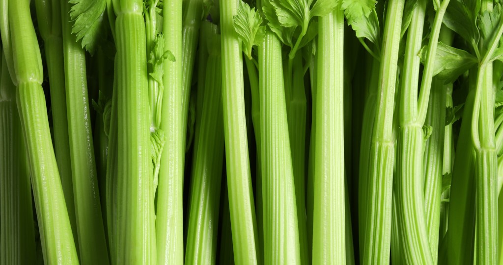 Celery 