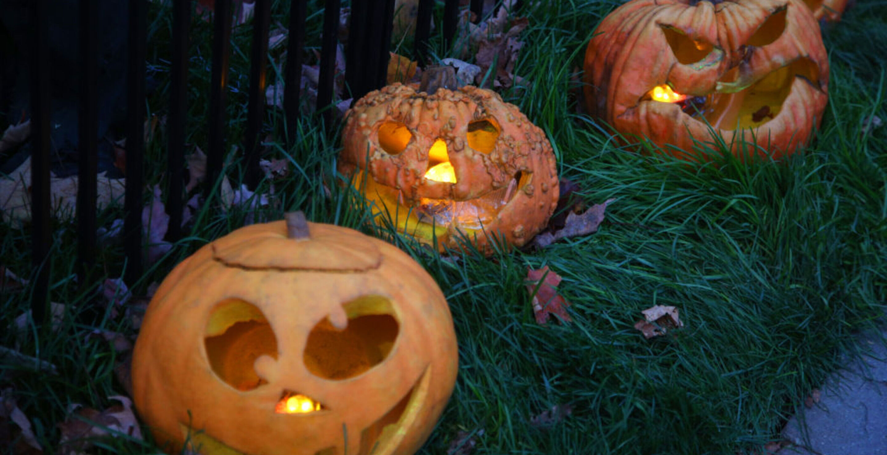 Don't Toss Those Left Over Jack O'Lanterns In The Trash. I Recommend Repurposing Those Pumpkins