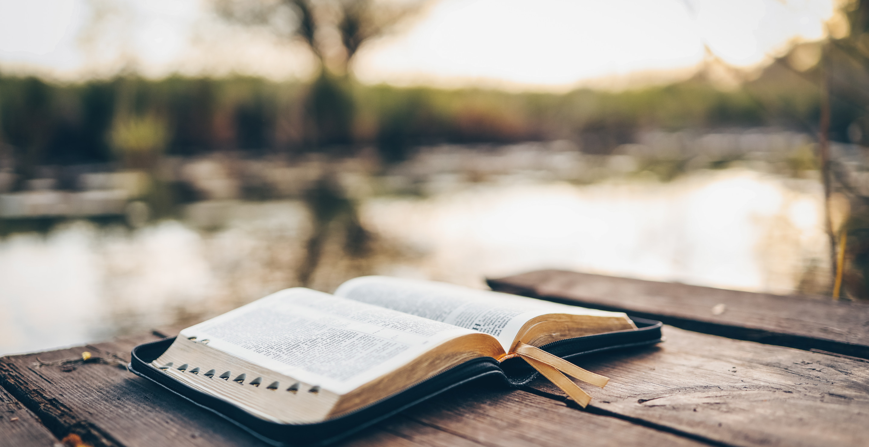 Grandmother's Bible Survives Hurricane Helene After Storm Destroys