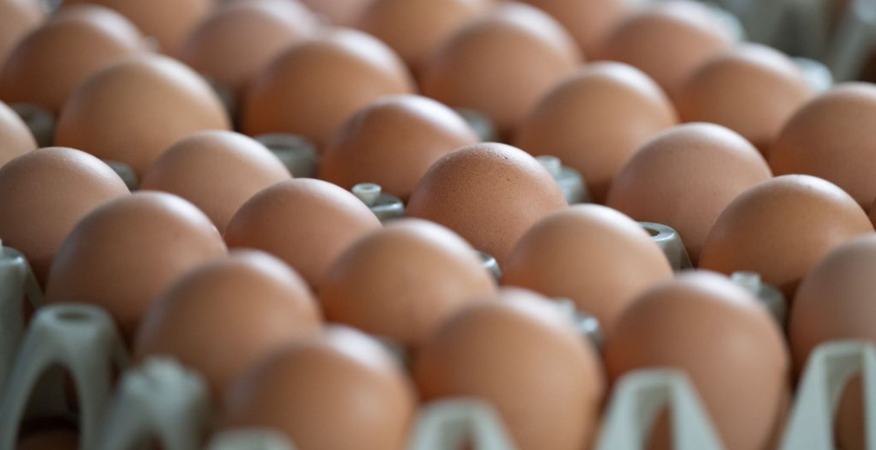 Man, Who Ate 700 Eggs In One Month, Says It Wrecked His Body