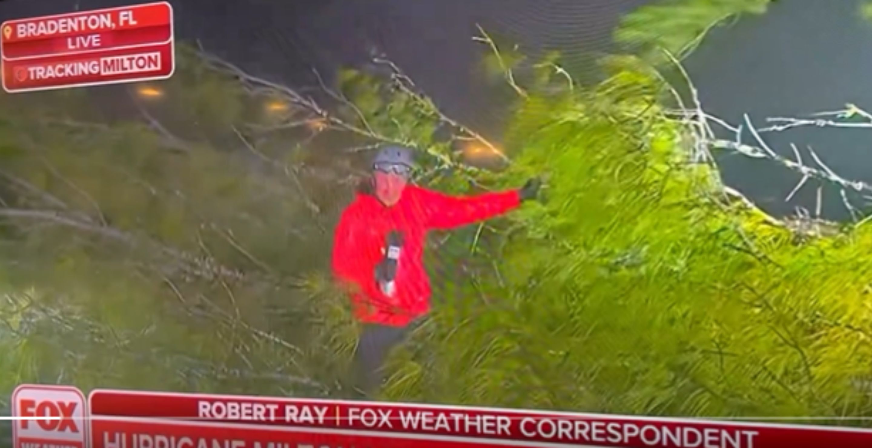 News Crew Nearly Crushed By Tree Covering Hurricane Milton After On-Air Segment Ended