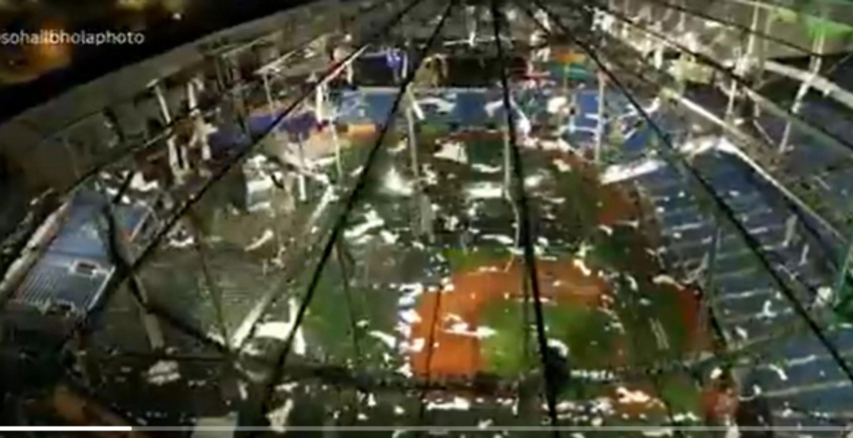 Terrifying Footage Shows Hurricane Milton Rip Roof Off Tampa Bay Rays’ Tropicana Field