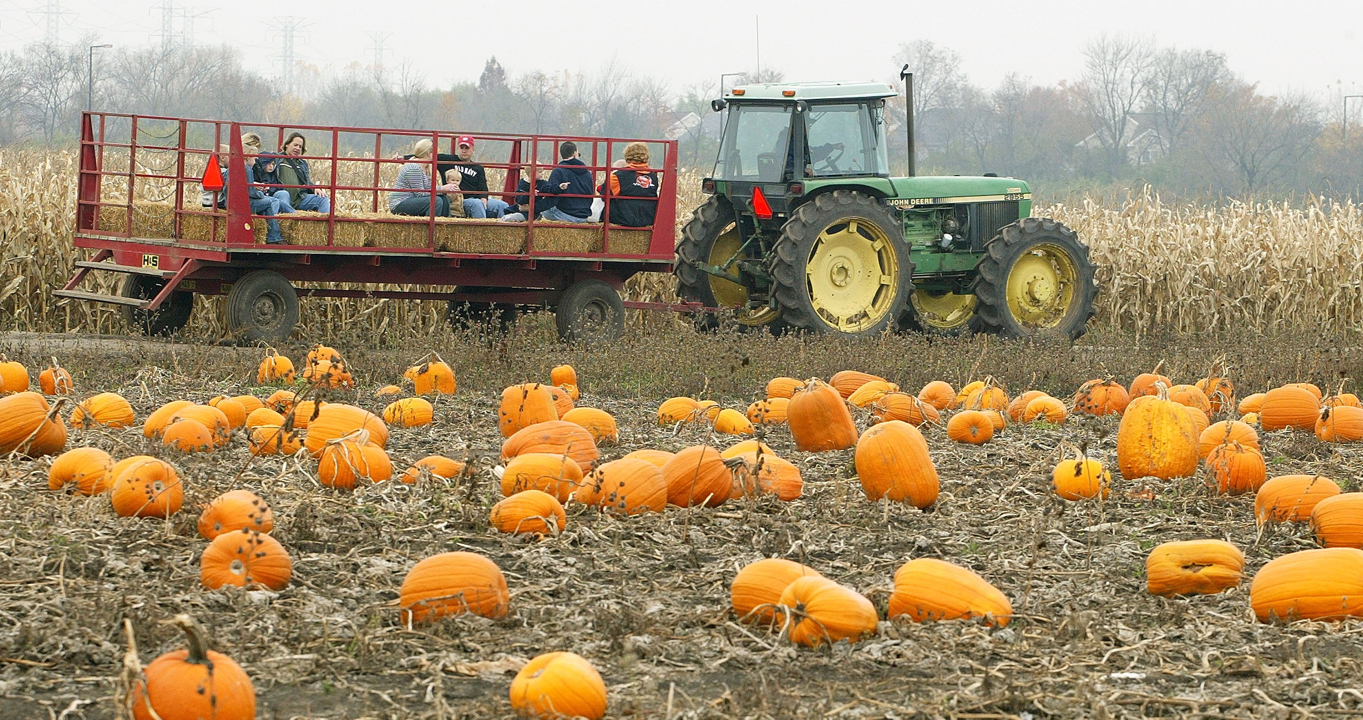 child dies in haunted hayride accident