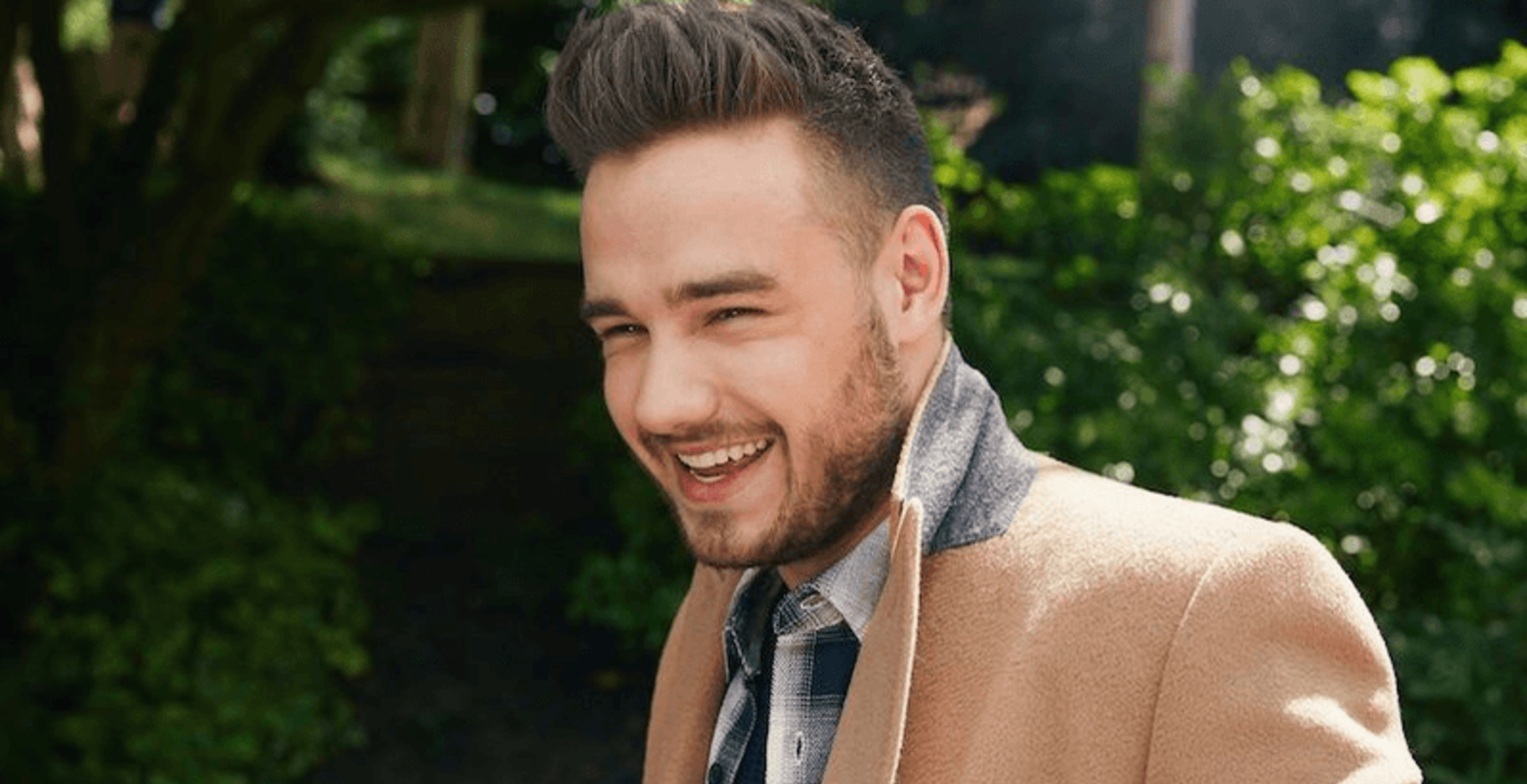 liam payne dropped by label before death