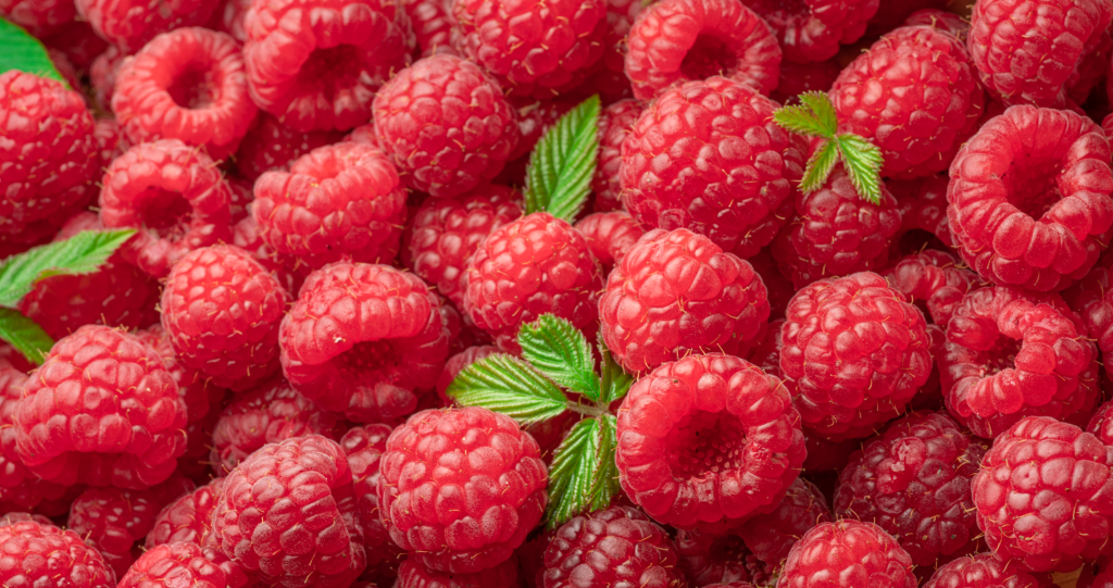 raspberries in-season fall fruits