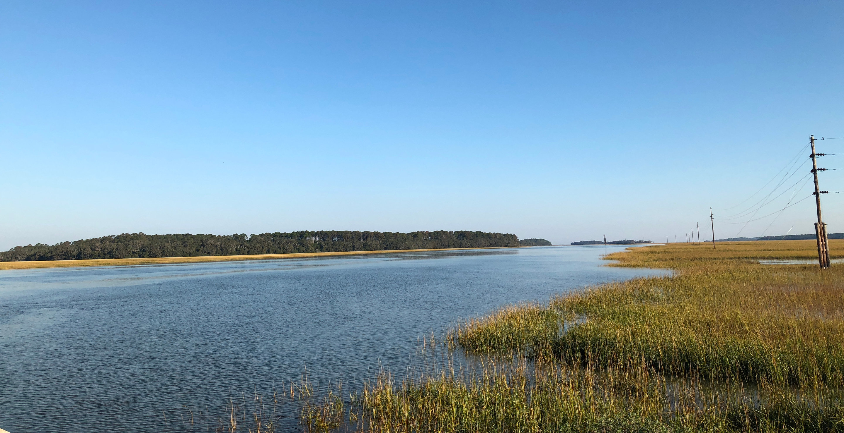 people save sapelo island victims