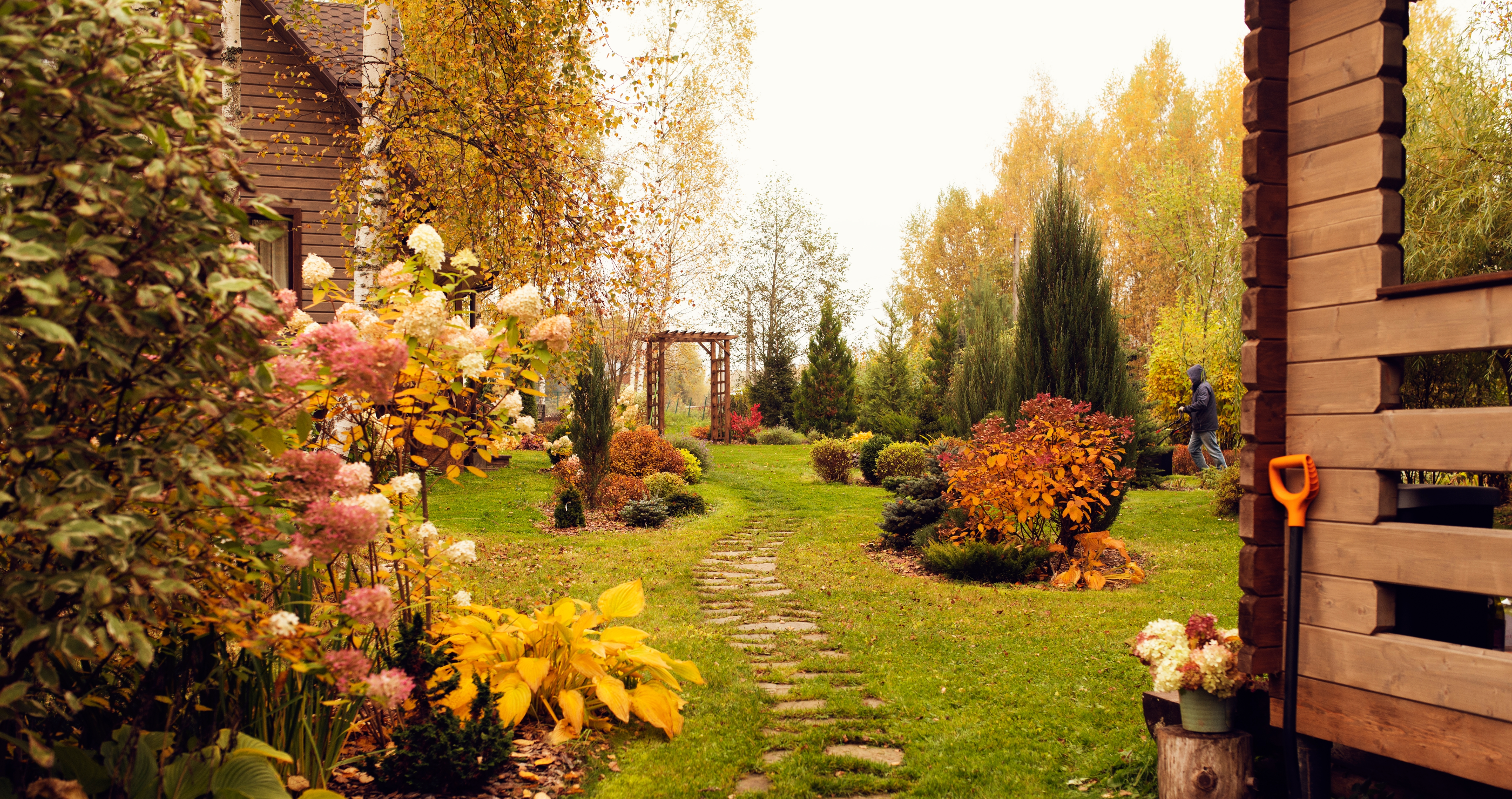 what I wish I knew about y fall garden