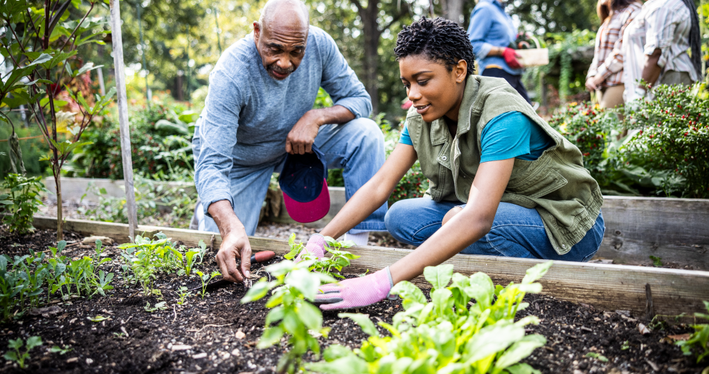 Carrie Underwood gardening tips