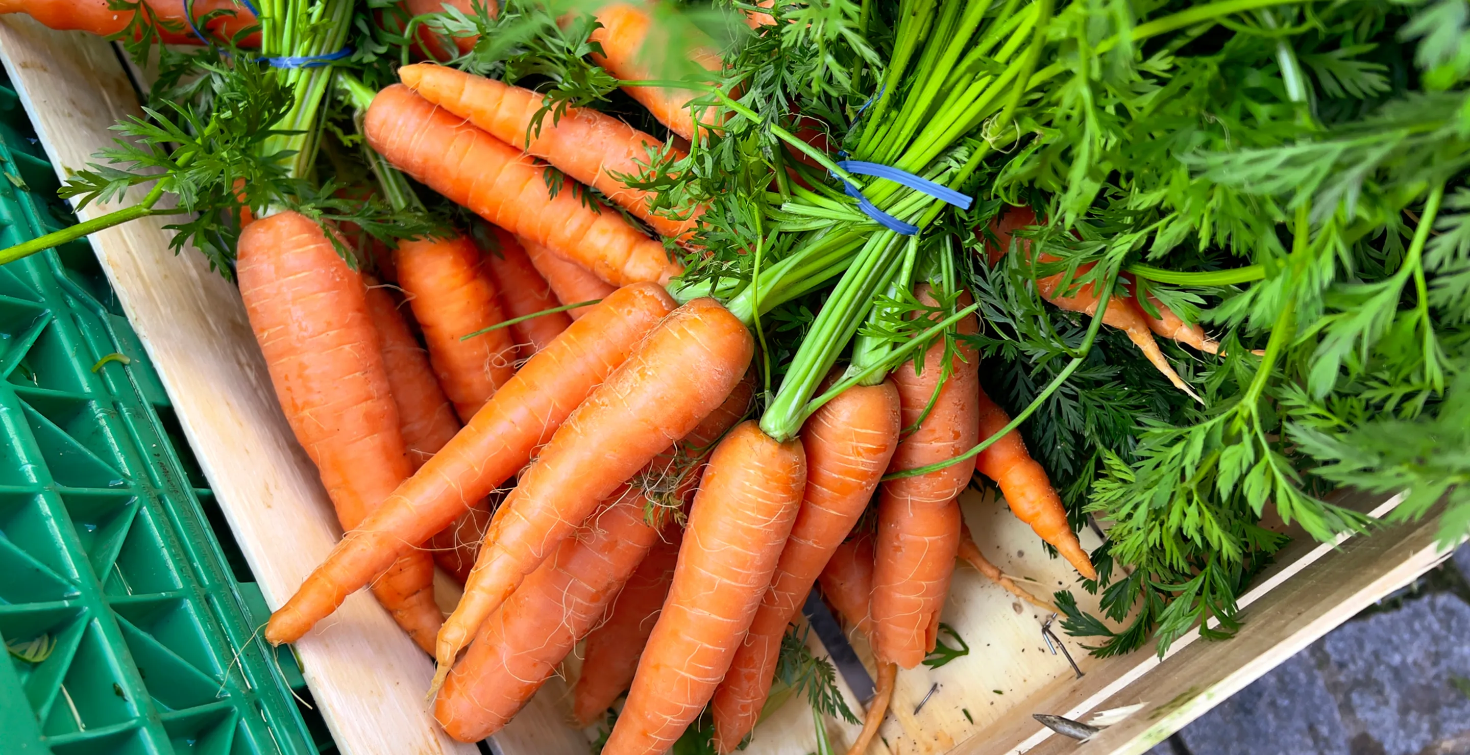 e. coli outbreak over carrots kills one