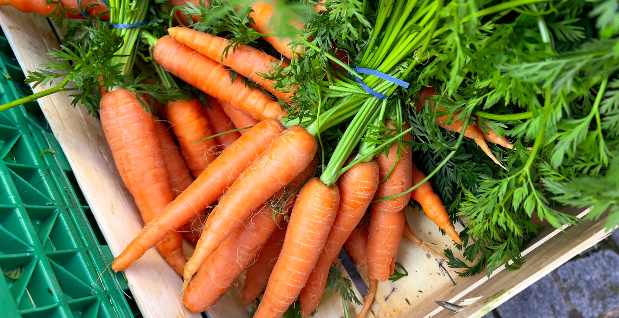 Urgent Recall For Carrots After E. Coli Outbreak Kills One And Injures