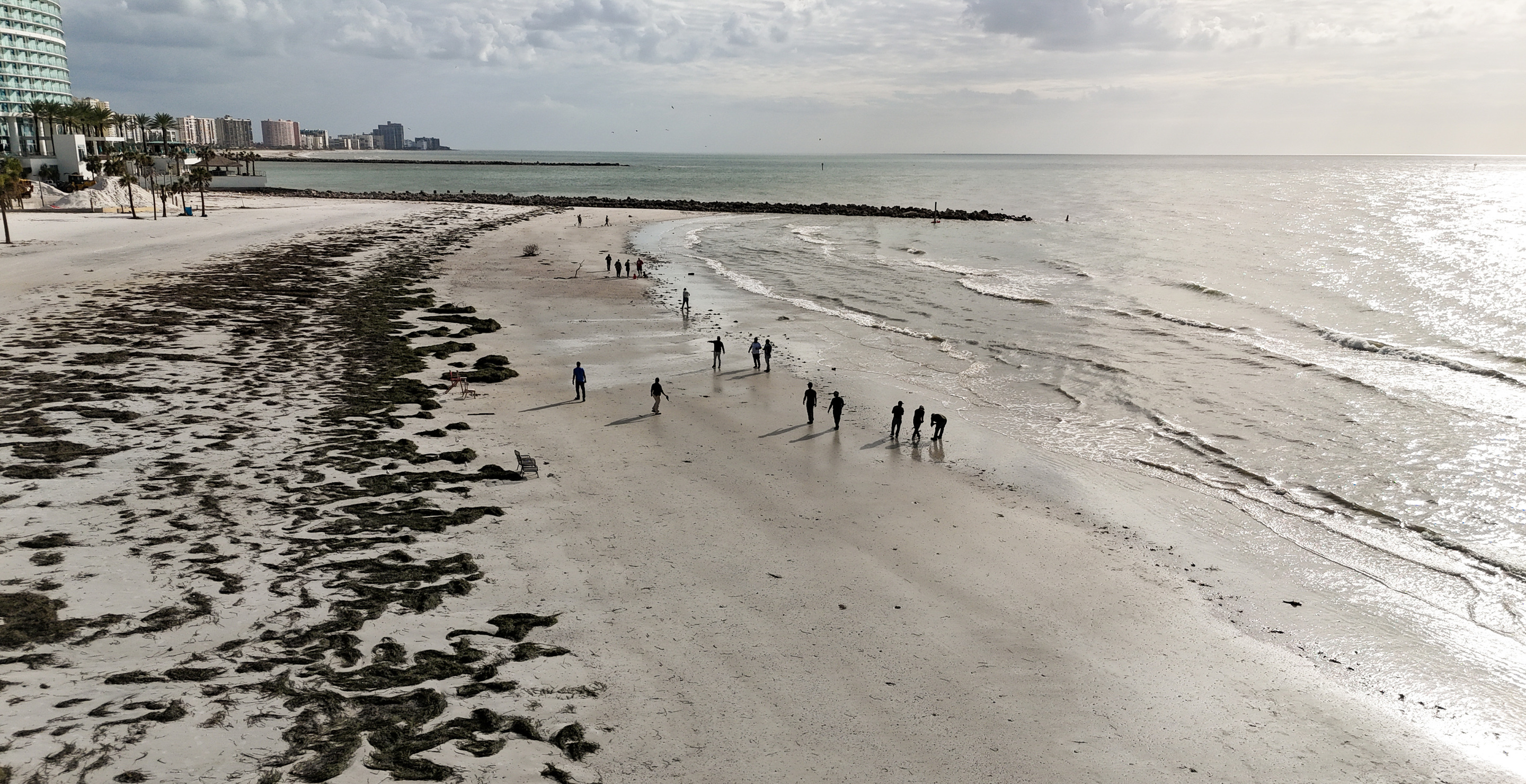 Man tied on Florida beach and attacked