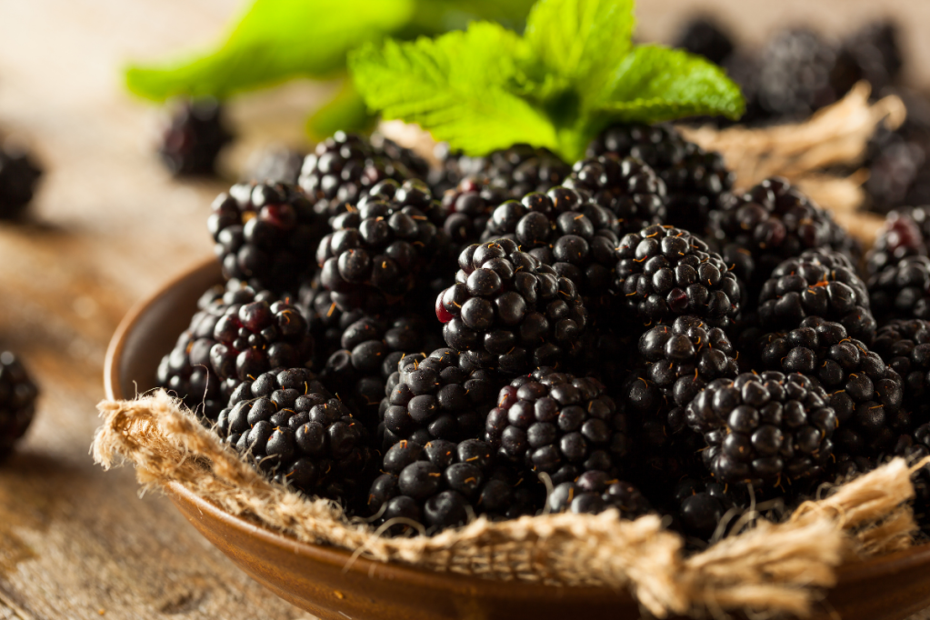 Blackberries vs Black Raspberries What’s the Difference?