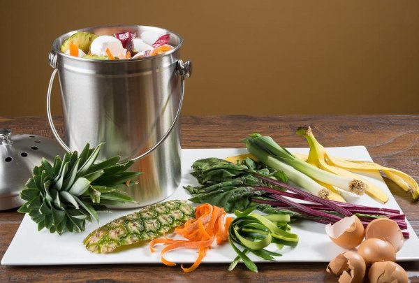 https://www.wideopencountry.com/wp-content/uploads/sites/4/eats/2022/09/EPICA-Stainless-Steel-Compost-Bin-1.3-Gallon-Includes-Charcoal-Filter-.jpg?resize=600%2C405